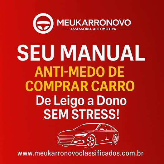 SEU MANUAL ANTI-MEDO DE COMPRAR CARRO NO RIO!