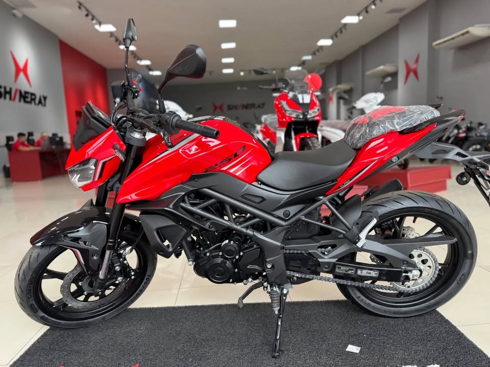 SHINERAY XY 250-5