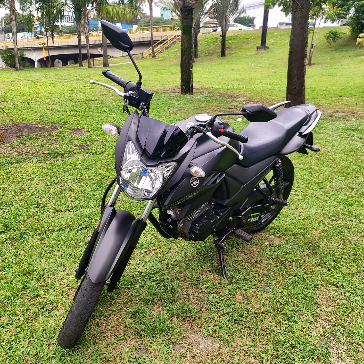 YAMAHA YS 150 FAZER ED/FLEX